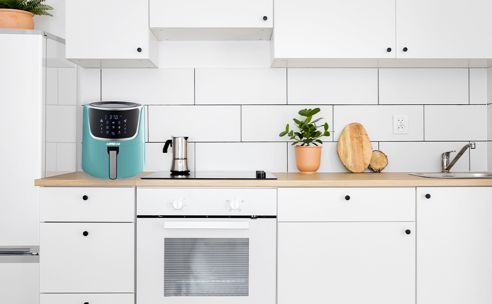 Convection Oven vs. Air Fryer