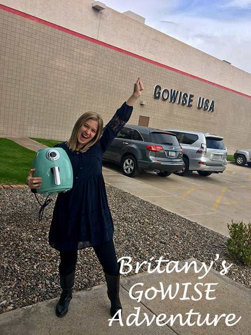 Britany's GoWISE Adventure
