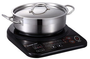 Portable Induction Cooktop with Stainless Steel Pan GW22616 - GoWISE USA