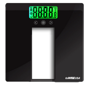 Body Mass Index Scale, GW22039