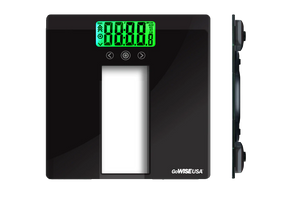 Body Mass Index Scale, GW22039